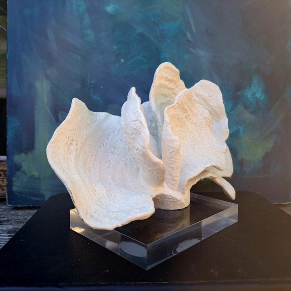 Faux white Coral Decor on Acrylic Base - Picture 9 of 10